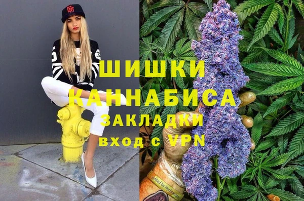 сатива Баксан