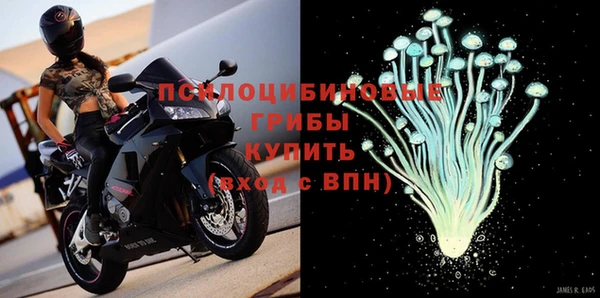 Альфа ПВП Аркадак